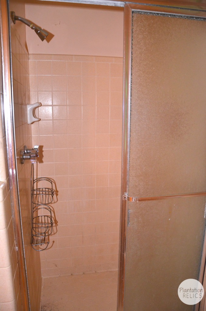 I wonder why the shower was so small in this large bathroom.